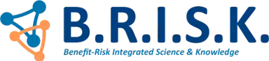 B.R.I.S.K. Consulting